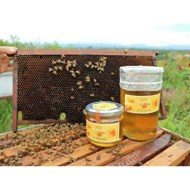 

Madu Asli 100% ORGANIC HONEY HARVEST BEE 350GR