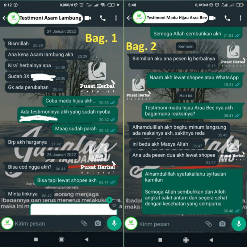 Original Madu Hijau Araa Bee Madu Hijau Plus Akar Bajakah Spirulina Propolis dan Herbal Alami Lainnya Untuk Penyakit Lambung Maag Asam Lambung Asli Original 100%-3