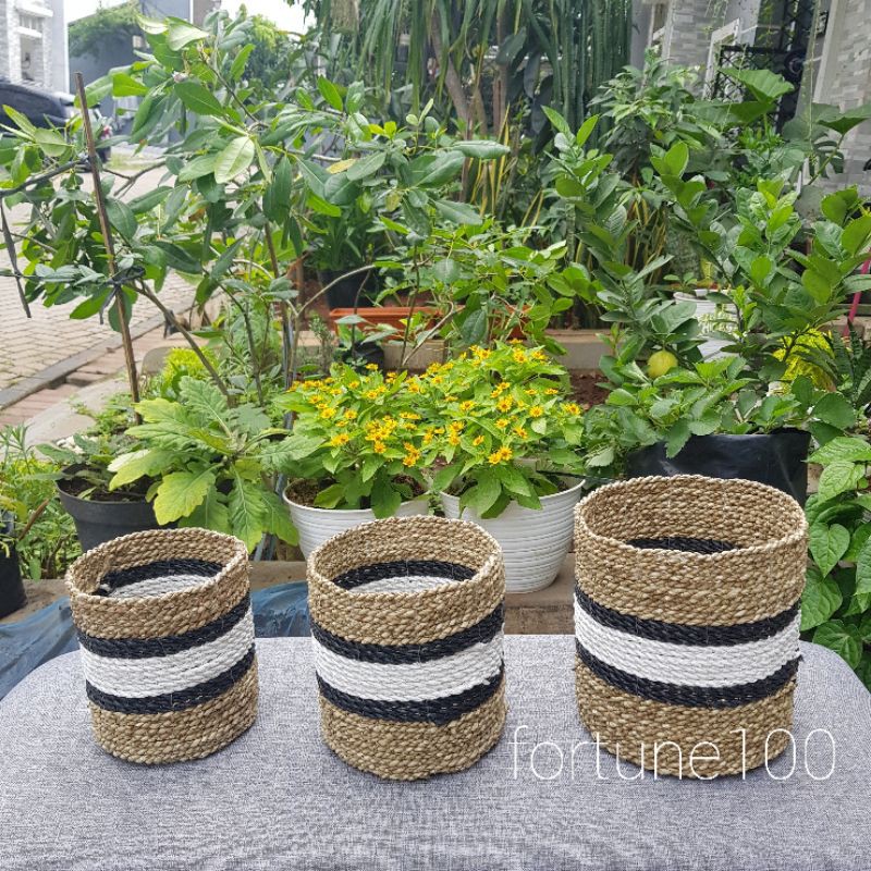 Cover Pot Seagrass / Coverpot Anyam Tanaman / Basket Keranjang Anyaman A10