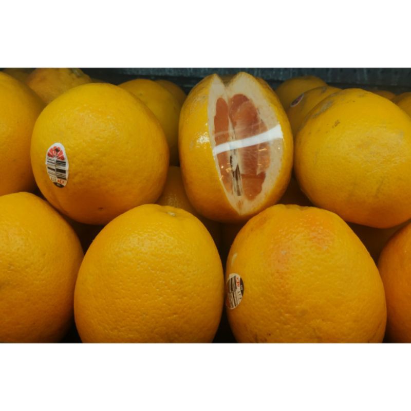 

Jeruk Grape Fruit Australia / jeruk diet 1 kg