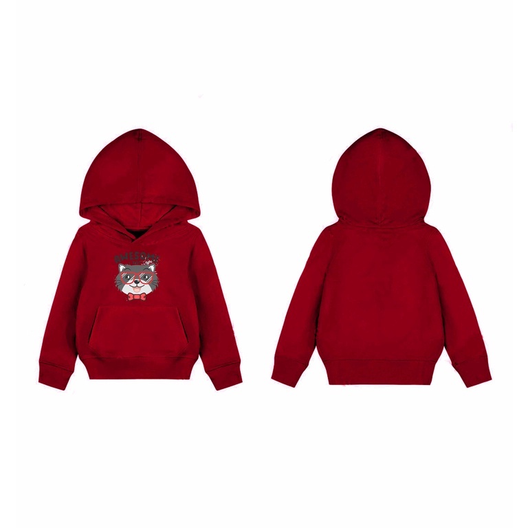 Hoodie Sweater Awsome Sweater Hoodie Pakaian Fleece Anak M -xl