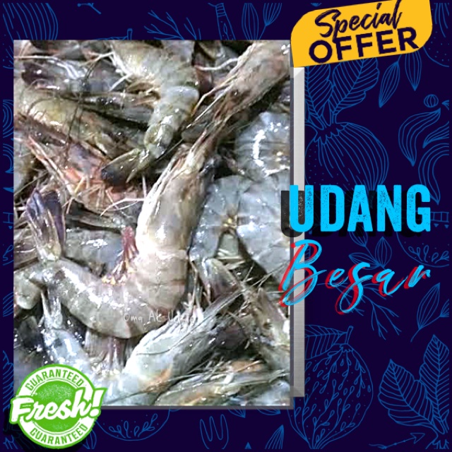 

UDANG BESAR SEGAR / PRAWNS PER 500 GR 12 - 15 EKOR
