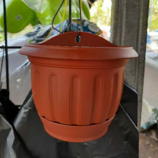 Pot tempel dinding Lotus Lion Star No.6 Merah Bata / Pot Bunga