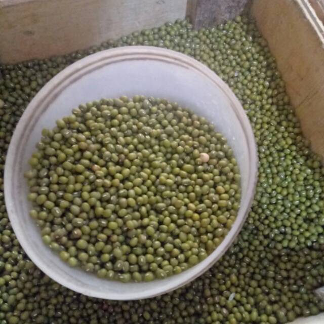 

Kacang hijau
