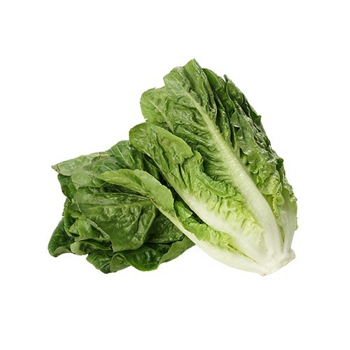 

Sayur Hidroponik Baby Romaine 250 gr