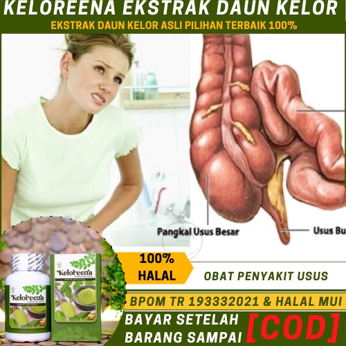 Obat Untuk Penyakit Usus, Usus Buntu, Usus Bengkak, Radang Usus, Polip Usus, Infeksi saluran cerna, 