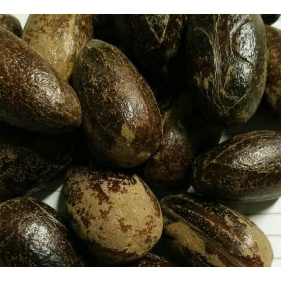 

Biji Pala Kulit | Biji Pala Kulit Kocak |Polo Kulit Kering 500 gram