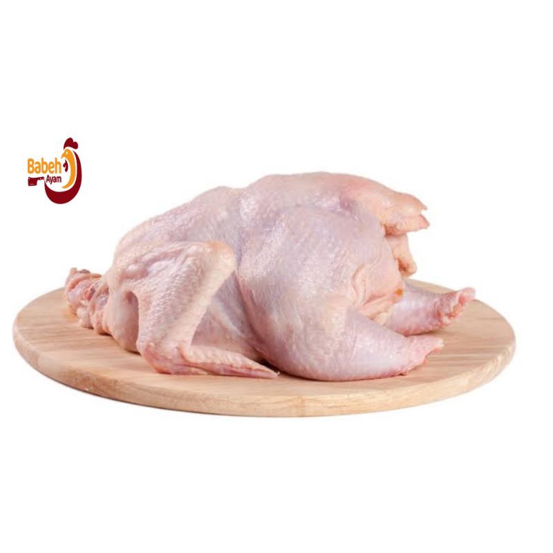 

Karkas Ayam Broiler Ayam Potong Utuh | 900 - 1000 g
