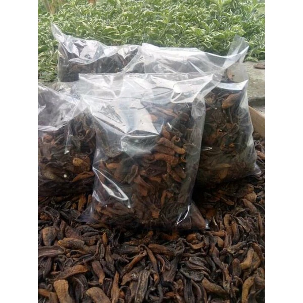 

teripang /timun laut kering tawar