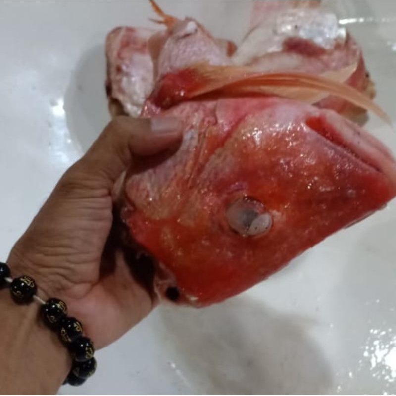 

Kepala Kakap Merah Segar Frozen 1 Kg