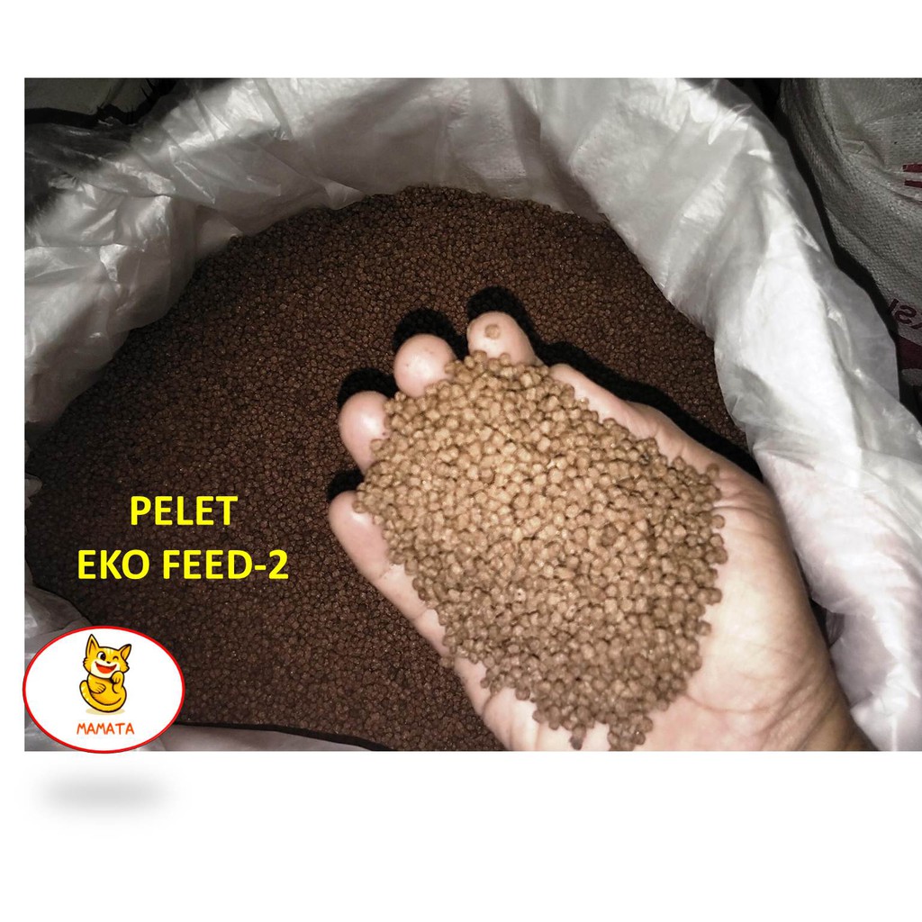 PELET EKO 2/3/4 PAKAN BIBIT IKAN GURAME repak 500 gram