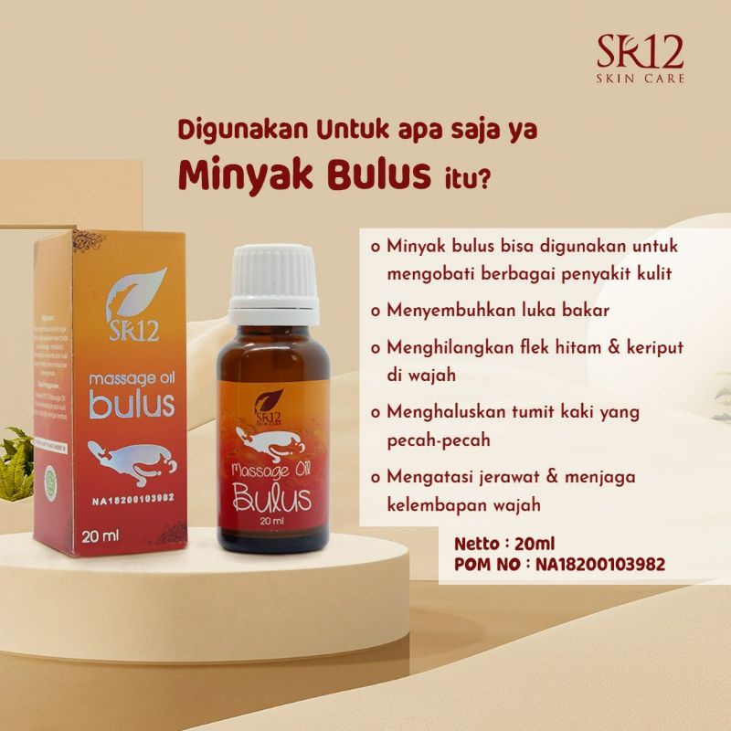 Massage Oil bulus SR12 / Minyak Bulus SR12 / MIBUL / Minyak Bulus Original