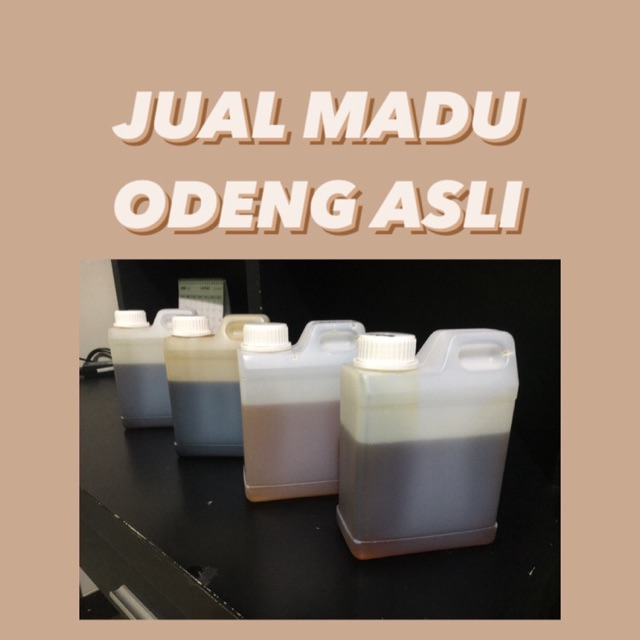 

Madu Odeng Asli