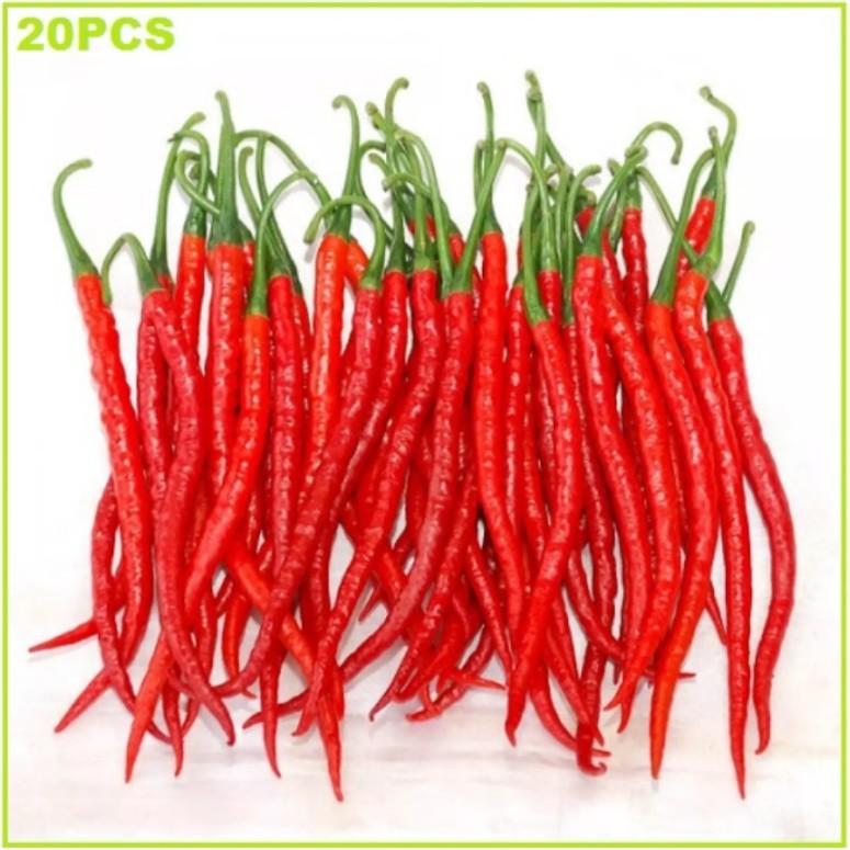 CABE KERITING 20 Biji / Benih / bibit CABE MERAH KERITING F1  / BIBIT UNGGUL  - TOKO BIBIT MAKMUR