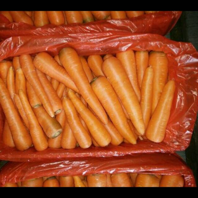

Wortel/carrot curah