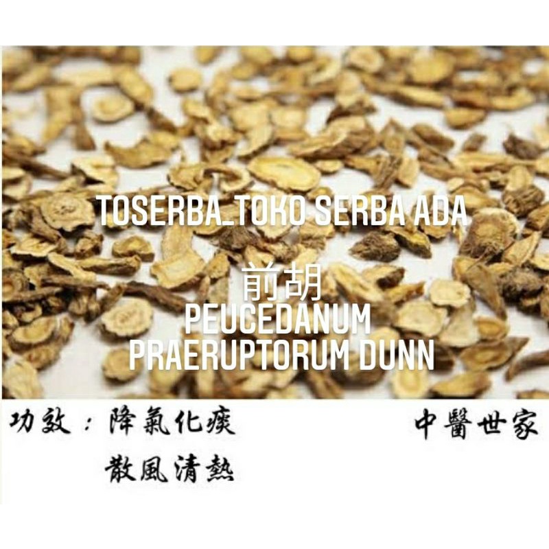 

100gr Herbal Zheng Qian Hu 正前胡 Peucedanum Praeruptorum Dunn Grade A