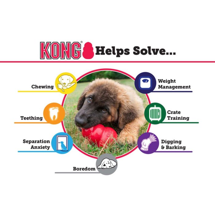 KONG Extreme / Mainan Anjing Kuat Premium