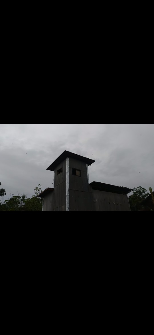 Dupa Dubali Gaharu 2jam Walet