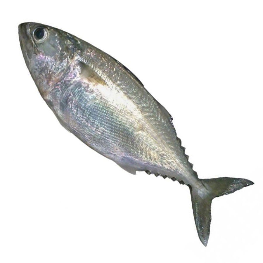 

Kembung Banjar / 500gr