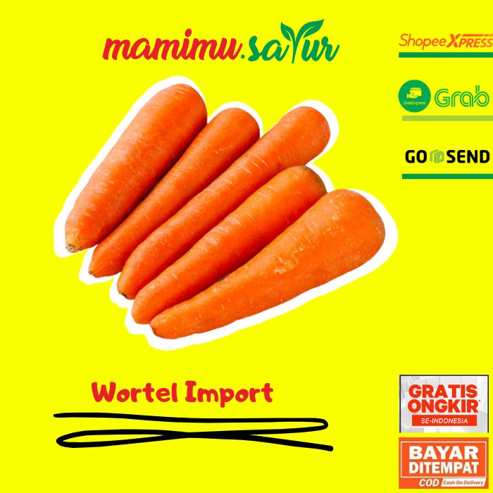 

WORTEL BERASTAGI IMPORT WORTEL BESAR SEGAR WORTEL BERASTAGI BRASTAGI WORTEL SAYUR SAYURAN SEGAR 1 KG