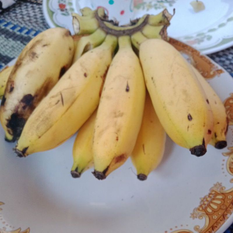 

pisang emas