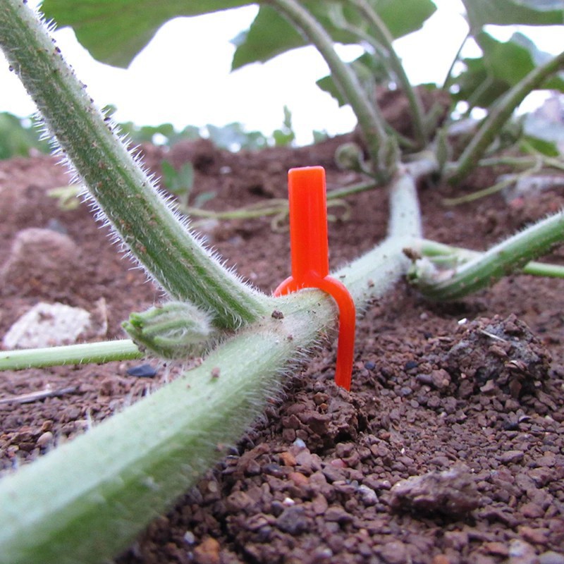 Klip penjepit batang tanaman merambat / klip penjepit tanaman merambat