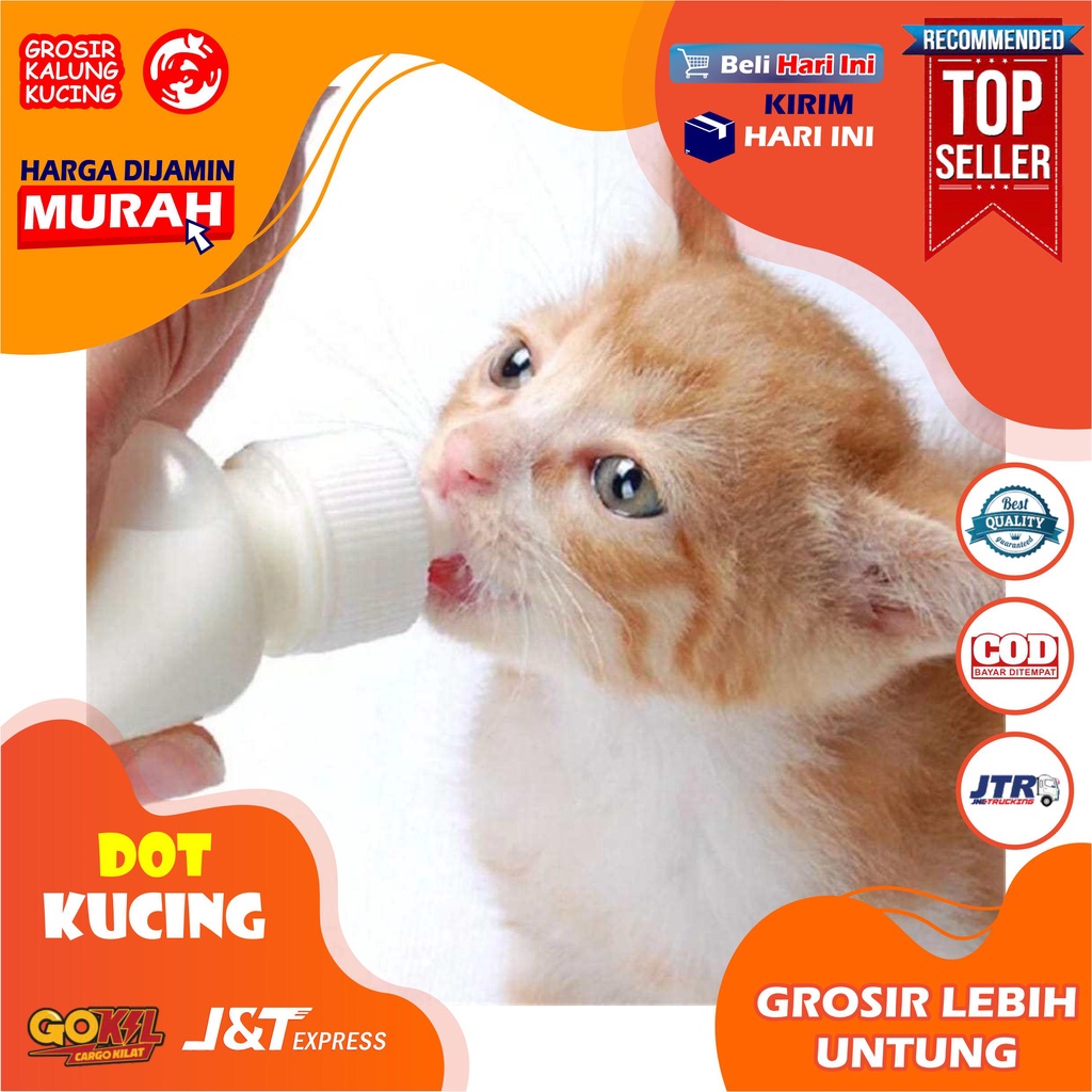 Botol Dot Kucing Botol Susu Kucing Botol Susu Anjing 50ML Kitten Dot PREMIUM QUALTY ( Dot Botol Hewan Peliharaan )