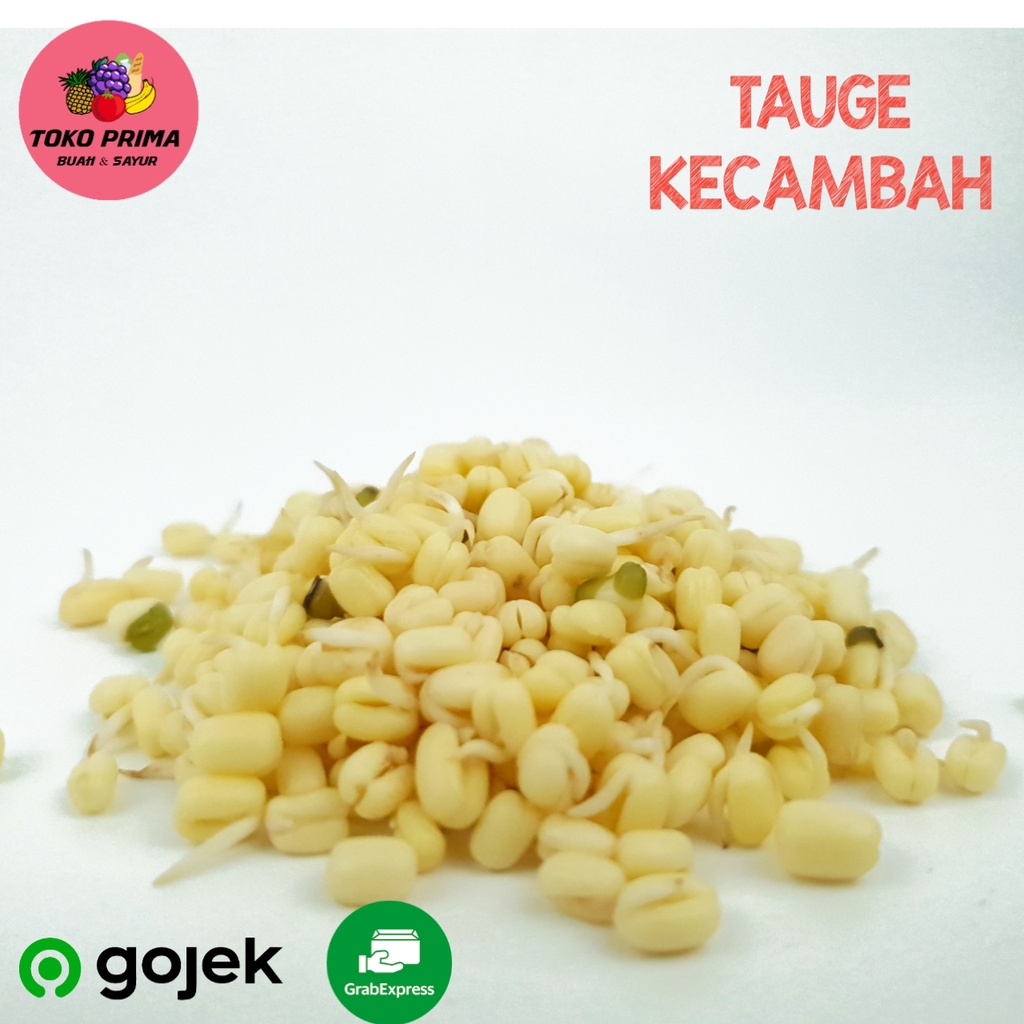 

Tauge Kecambah Per 250 Gram