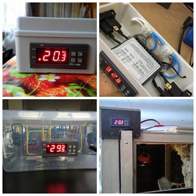 220V - Thermostat Digital STC 1000 Suhu Controller Incubator AC 220V Tetas Telur Pendingin Pemanas