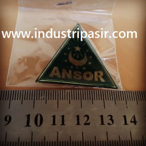 PIN ANSOR