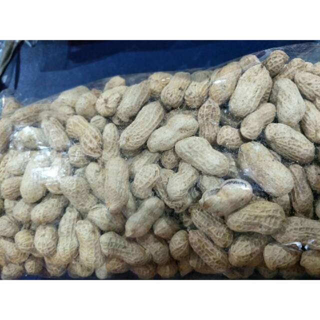 

Kacang kulit oven