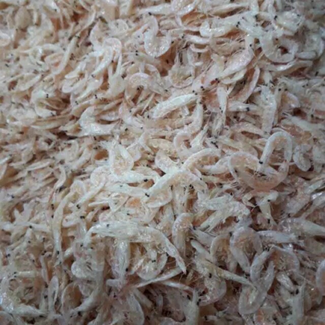 

Udang rebon/ kecepe ( 500 gram )