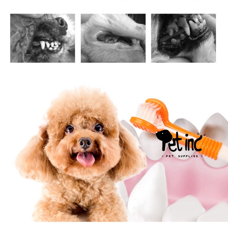 Maxmillian dog dental care kit