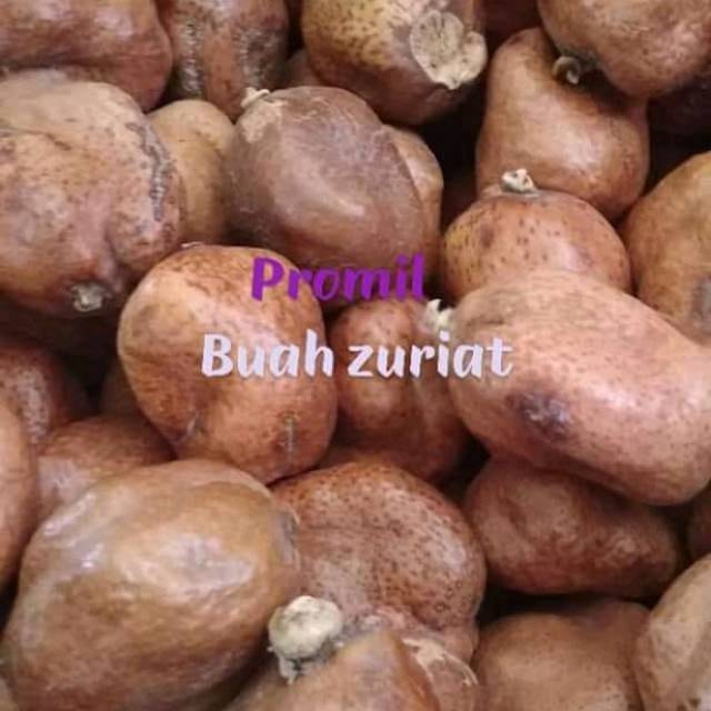 

Buah zuriat Rp 30.000