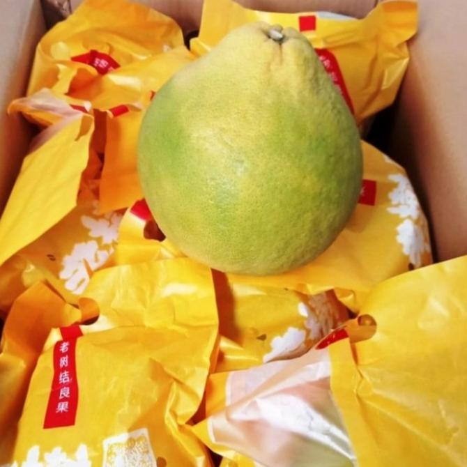 

BUAH JERUK BALI PAMELO FRESH IMPORT PER DUS ISI 8 PCS FH51515ED