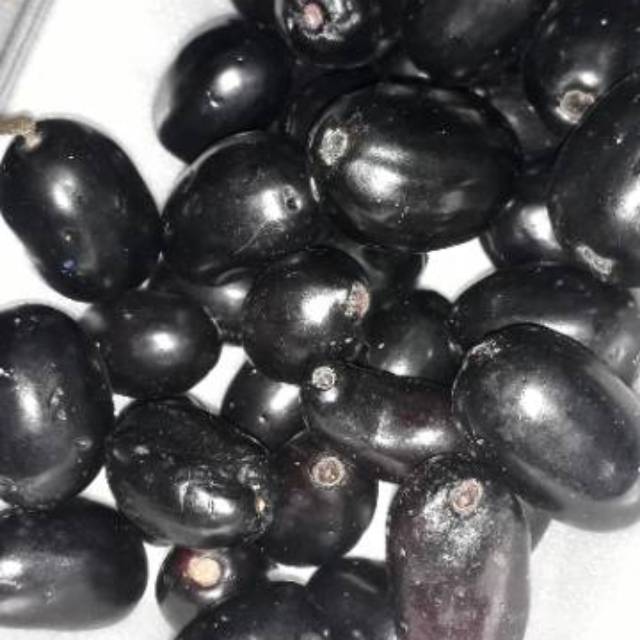 

Jamblang/Juwet