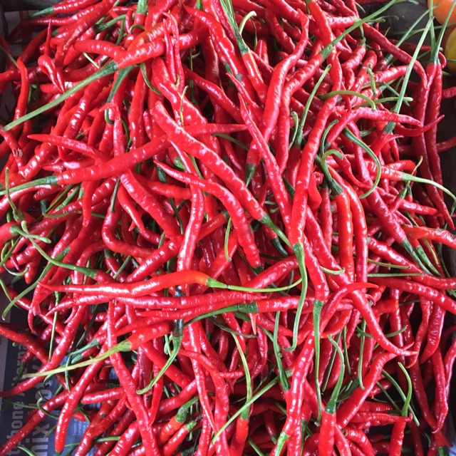 

Cabe Merah Keriting 1KG