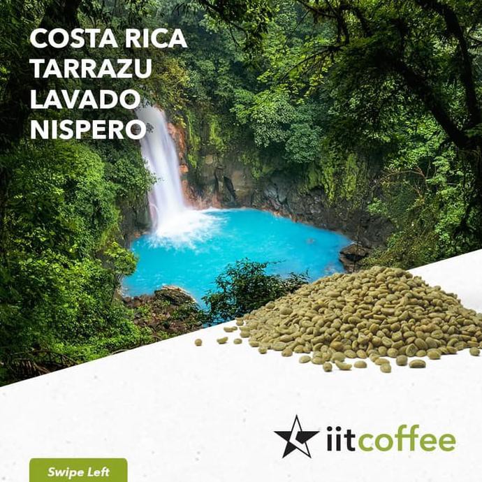 

Arabica Green Bean - Costa Rica Tarrazu Lavado Nispero Washed 1Kg
