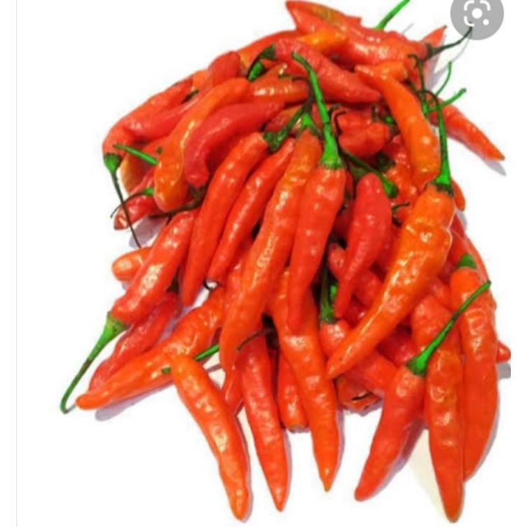 

cabe rawit merah 250gr