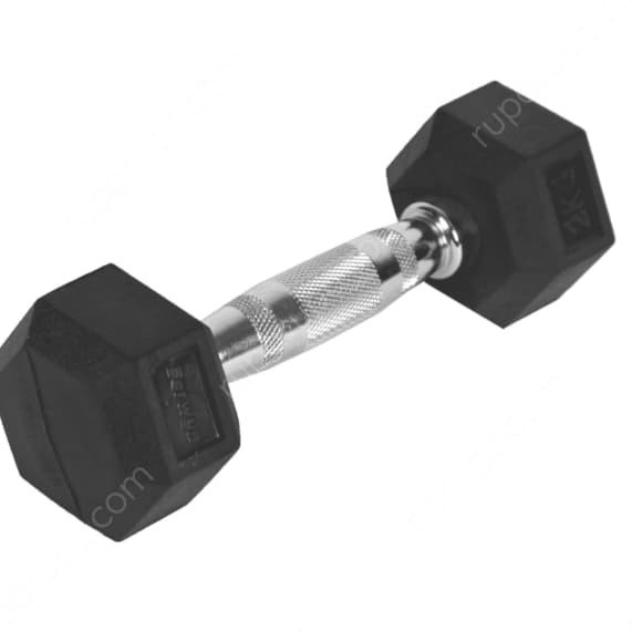 BERWYN 2KG HEXAGONAL DUMBBELL / BARBELL LAPISAN KARET