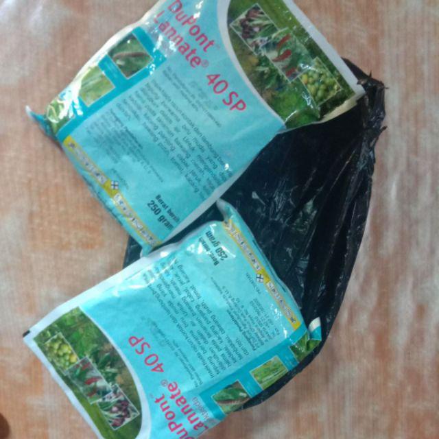 Insektisida Lannate Biru 40sp 250 Gram