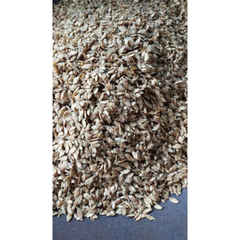 

1kg ikan Krispy
