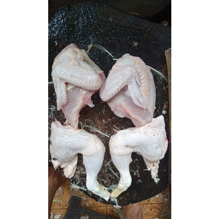 

Ayam Karkas Broiler Bersih Potong 4 | 600-700 g