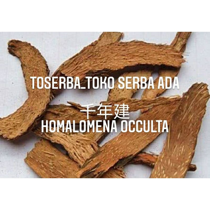 

100gr Herbal Qian Nian Jian 千年建 Rhizoma Homalomena Occulta Premium Grade
