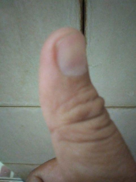 Tempat Spons Untuk Cuci Piring Warna Hijau 24 Cm , Peralatan Dapur Bj124