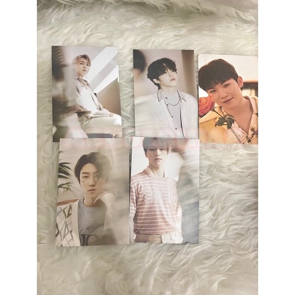 Postcard your choice woozi the8 seungkwan dino scoups