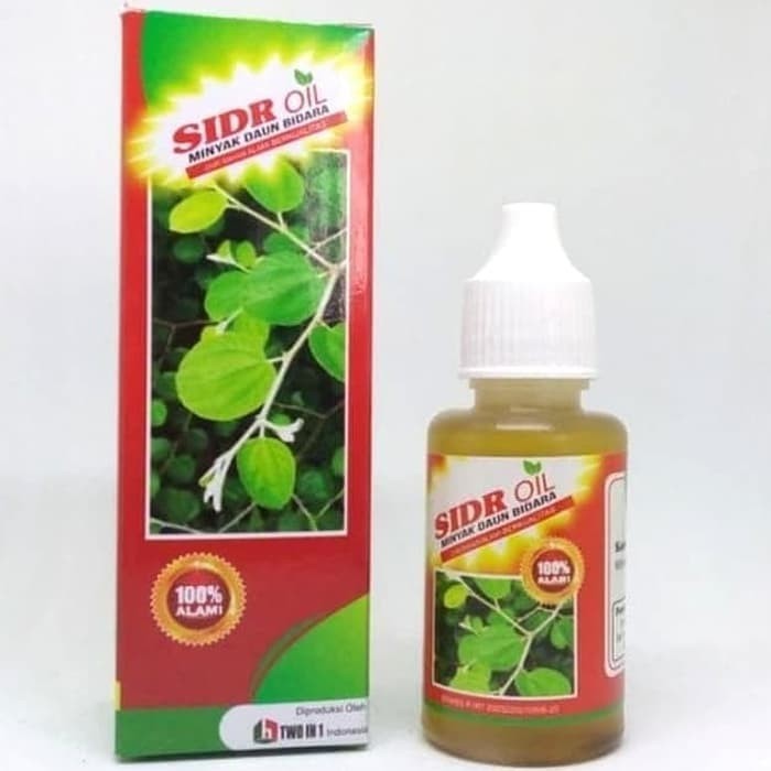 

Minyak Daun Bidara Sidr Oil 30ml - Bidara Sidr Oil Terapi Ruqyah