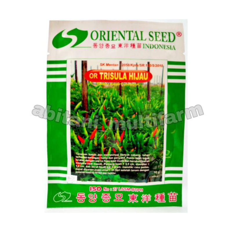 BIBIT - CABAI TRISULA HIJAU BENIH ORIENTAL SEED - 10 GRAM