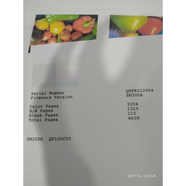 Epson L350 Print scan copy