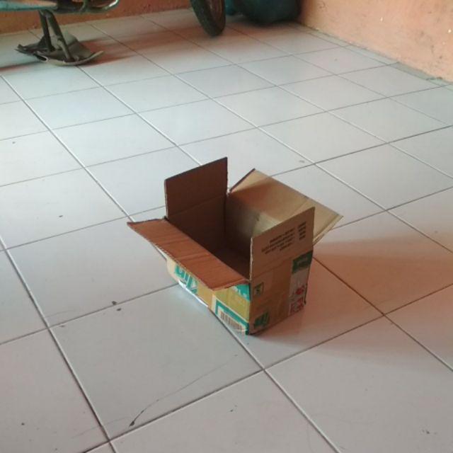 Paket Dandang Mini 2